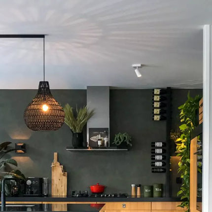 Lightswing Lightswing® Twin Mat Zwart | Ophangsysteem 2 lampen